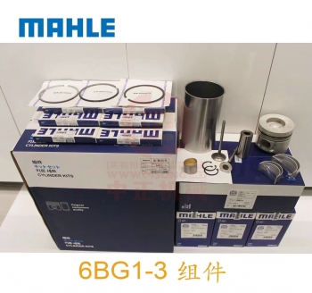 五十铃6BG1活塞/日立挖掘机四配套组件